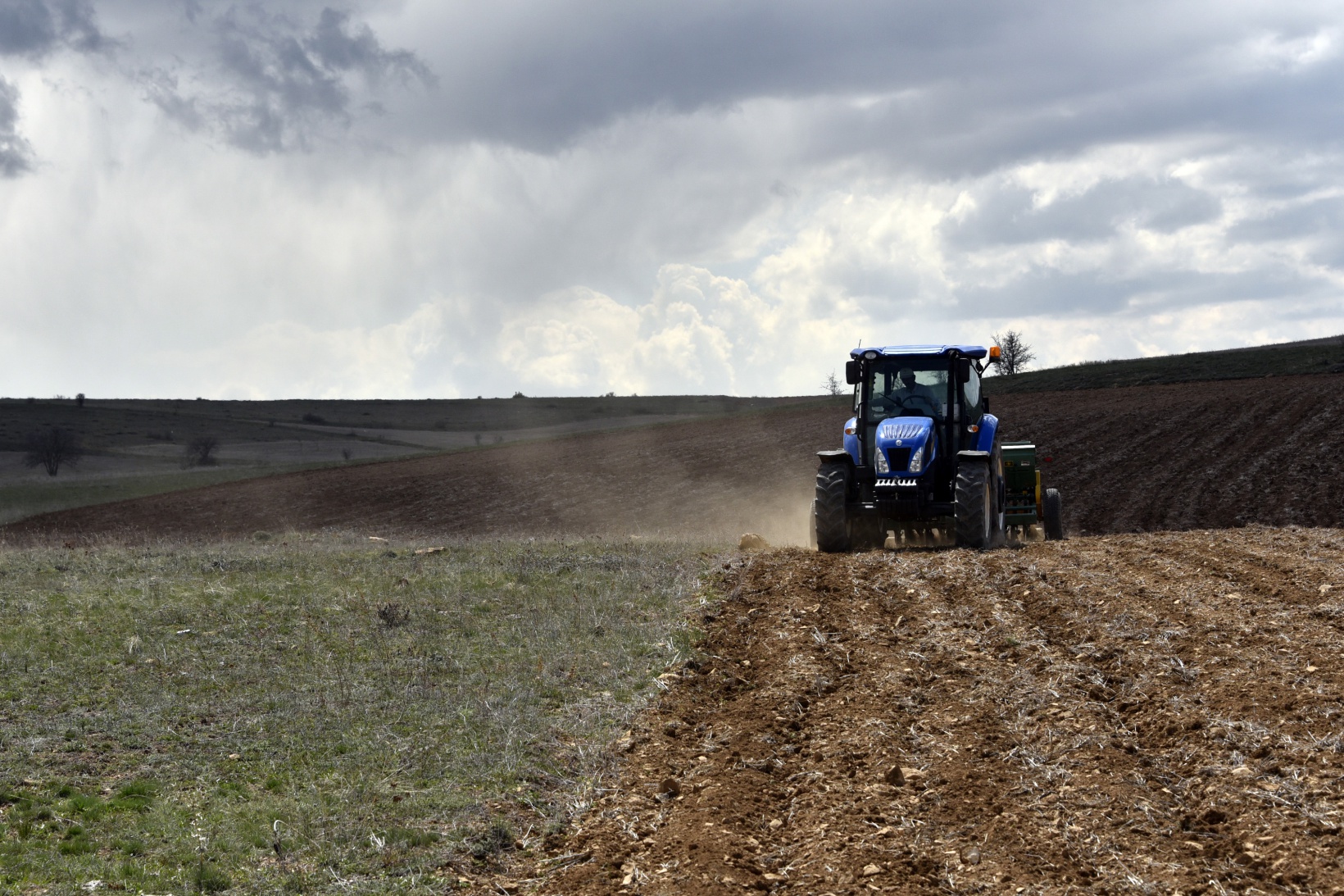 Gümüşhane karabuğdayın başkenti olacak 26