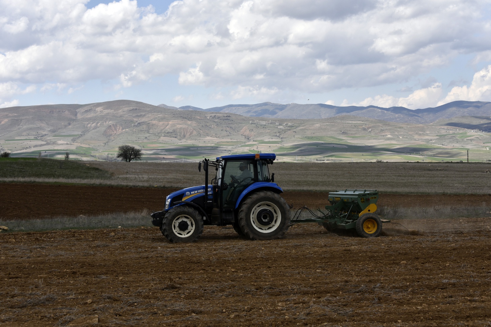 Gümüşhane karabuğdayın başkenti olacak 22