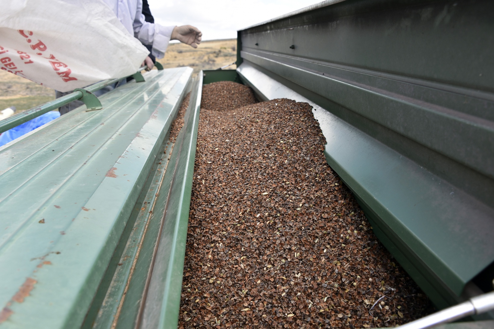 Gümüşhane karabuğdayın başkenti olacak 13