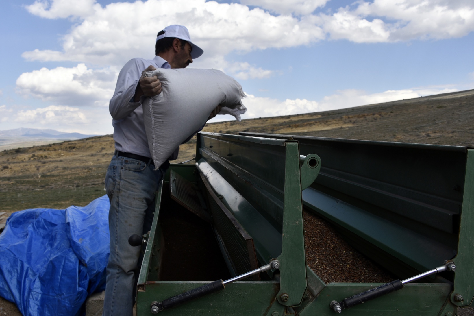 Gümüşhane karabuğdayın başkenti olacak 34