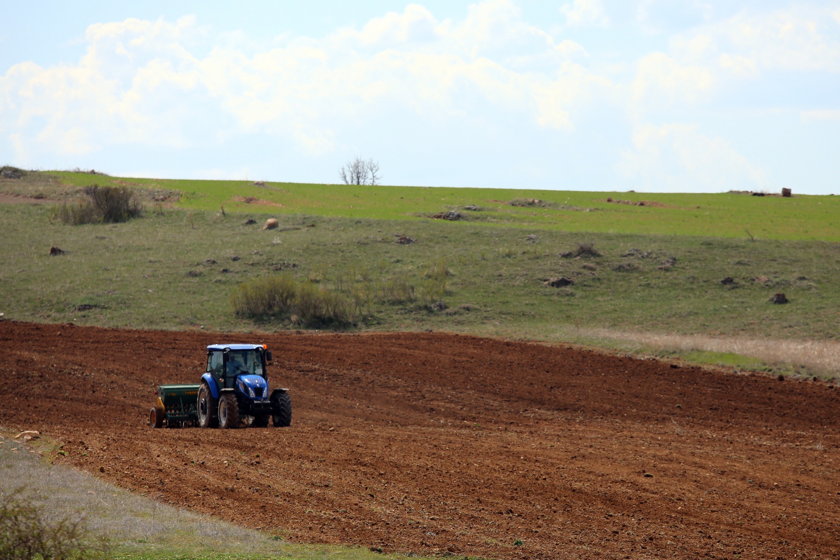 Gümüşhane karabuğdayın başkenti olacak 3