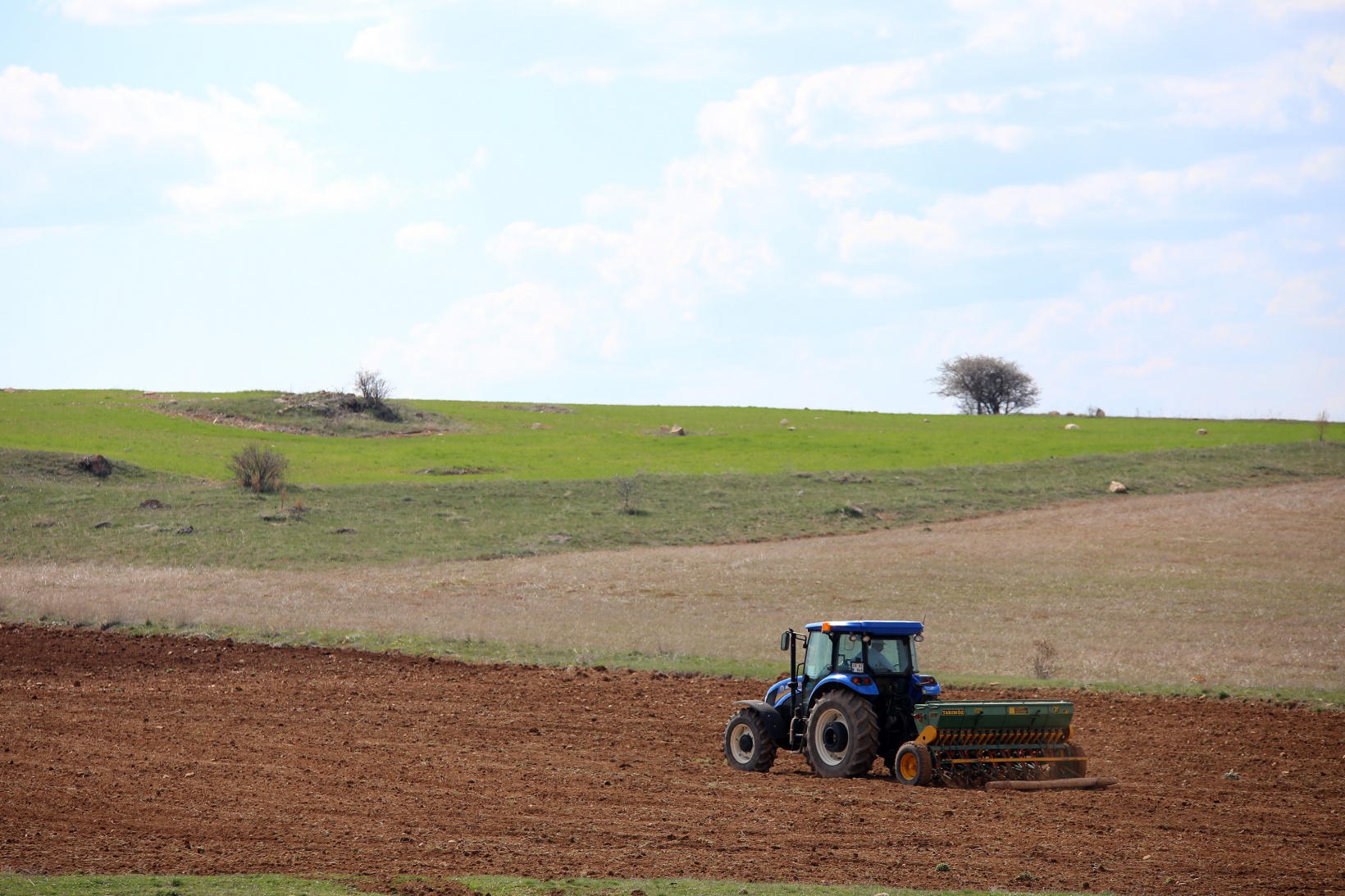 Gümüşhane karabuğdayın başkenti olacak 5