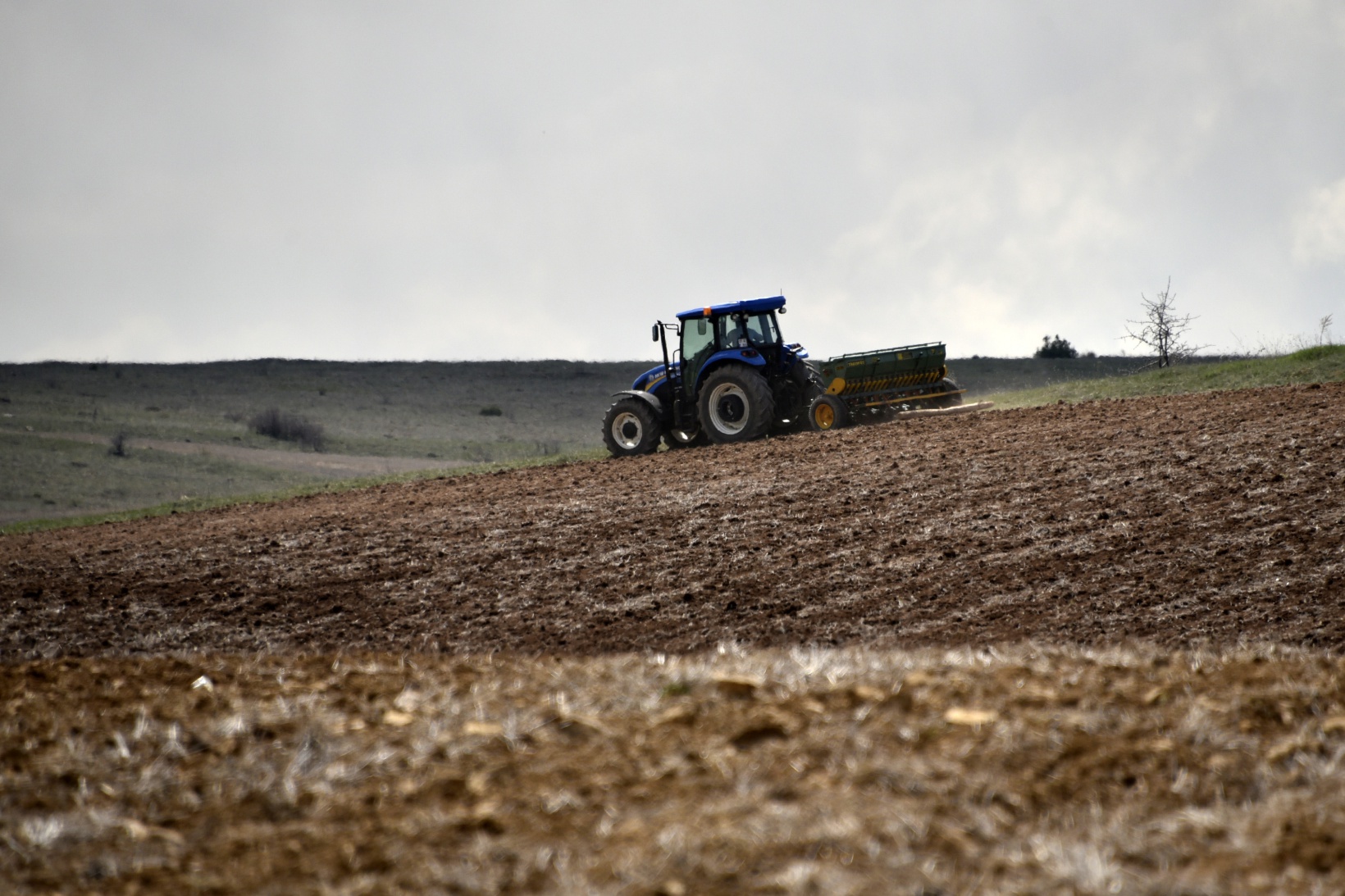 Gümüşhane karabuğdayın başkenti olacak 15