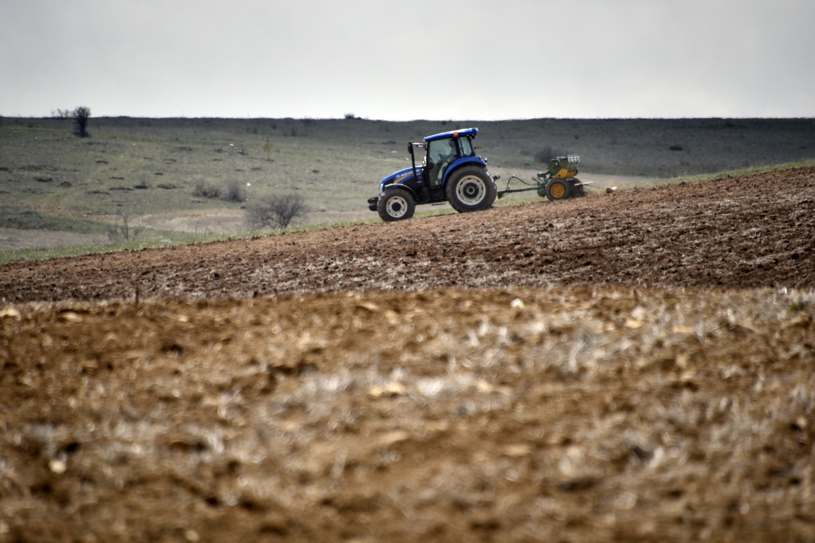 Gümüşhane karabuğdayın başkenti olacak 30