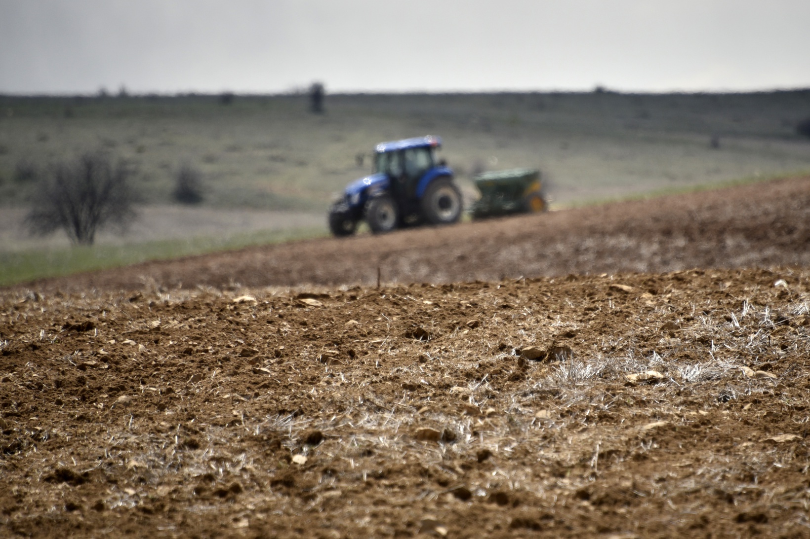 Gümüşhane karabuğdayın başkenti olacak 25