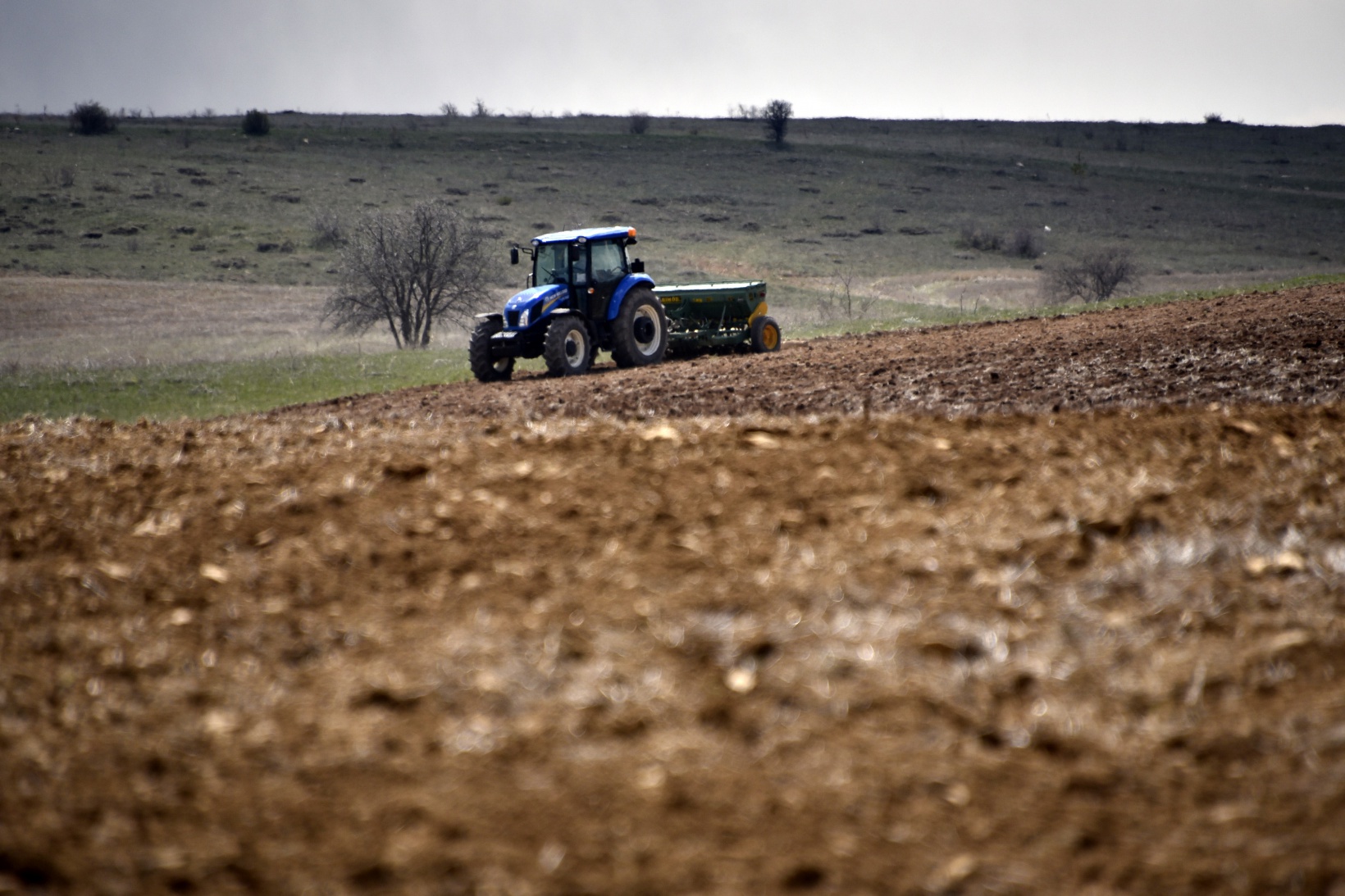 Gümüşhane karabuğdayın başkenti olacak 19