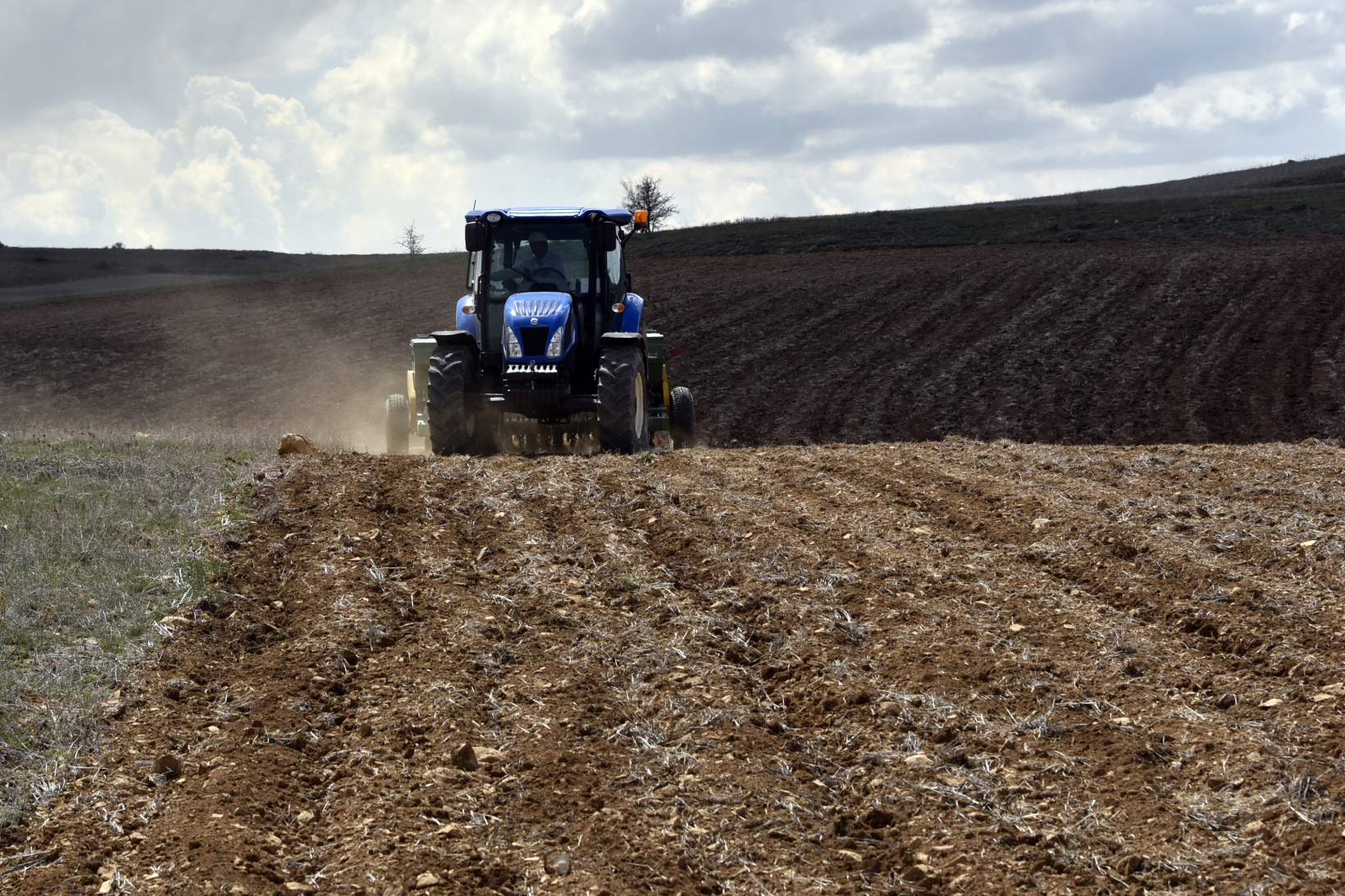 Gümüşhane karabuğdayın başkenti olacak 32
