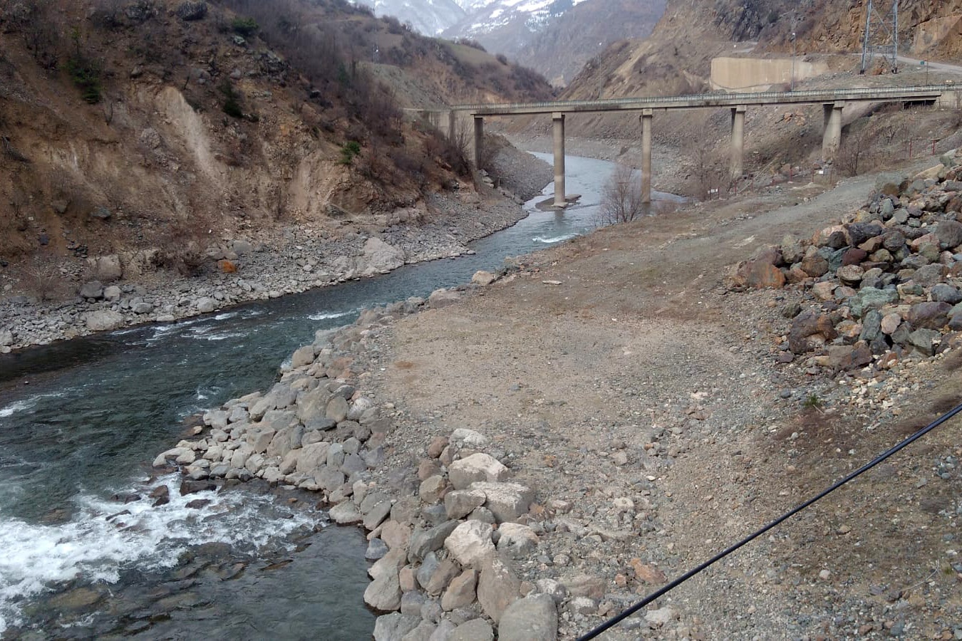 Kalp masajı yapılan yaralı Karaca kurtarılamadı 11