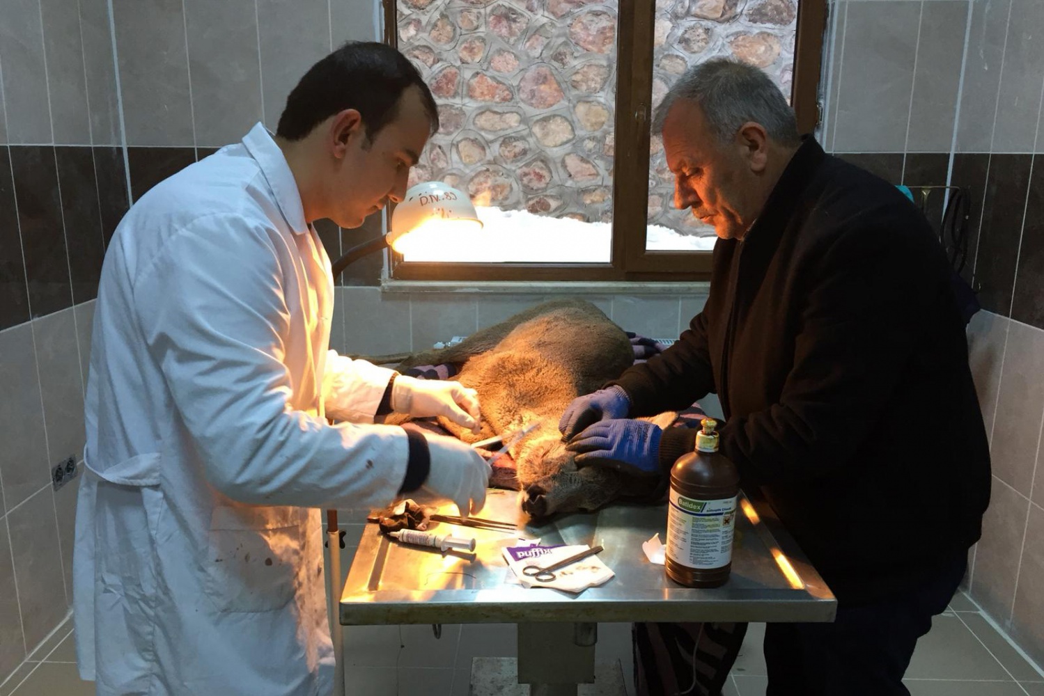 Kalp masajı yapılan yaralı Karaca kurtarılamadı 1