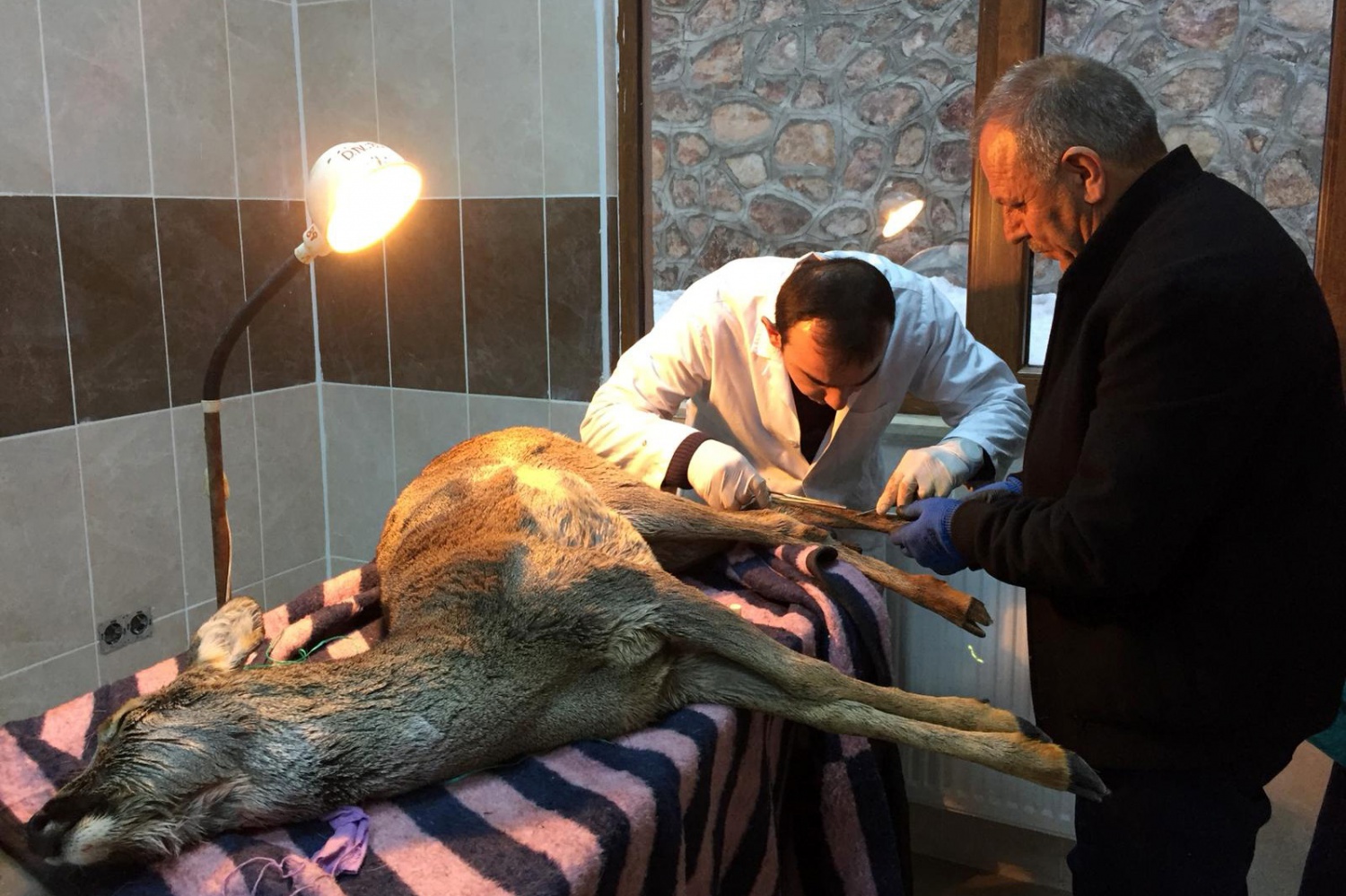 Kalp masajı yapılan yaralı Karaca kurtarılamadı 14