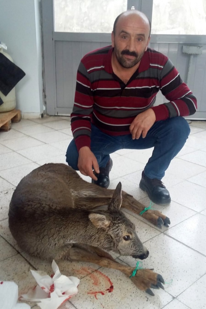 Kalp masajı yapılan yaralı Karaca kurtarılamadı 10