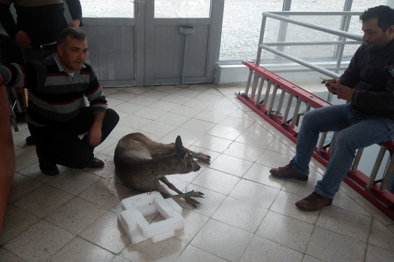 Kalp masajı yapılan yaralı Karaca kurtarılamadı 9