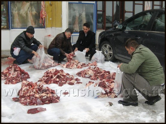 Kar Üzerinde Kurban Telaşı 5