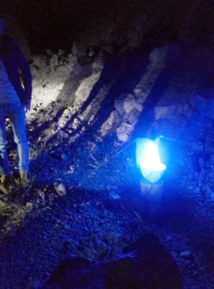 İtalyan ve Macar biyokaçakçılara suçüstü 3