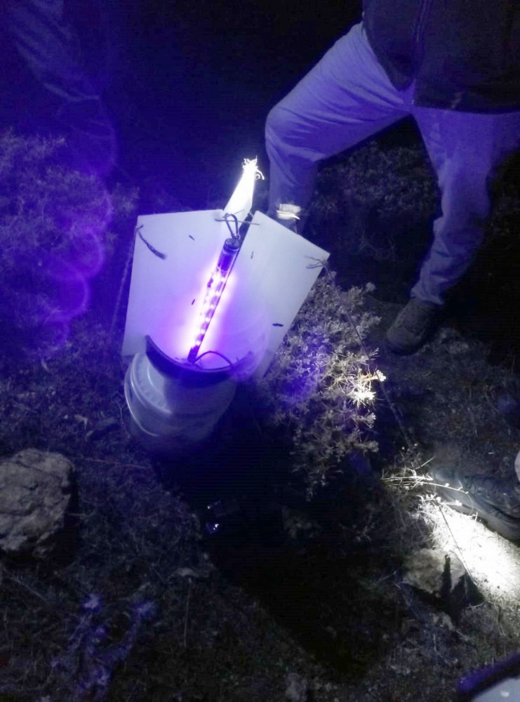 İtalyan ve Macar biyokaçakçılara suçüstü 1