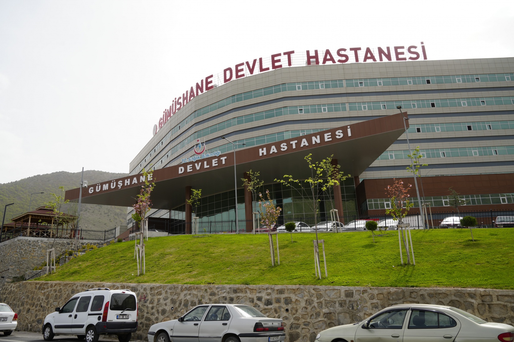 Gümüşhane'de havalar ısındı, kene vakaları arttı 3