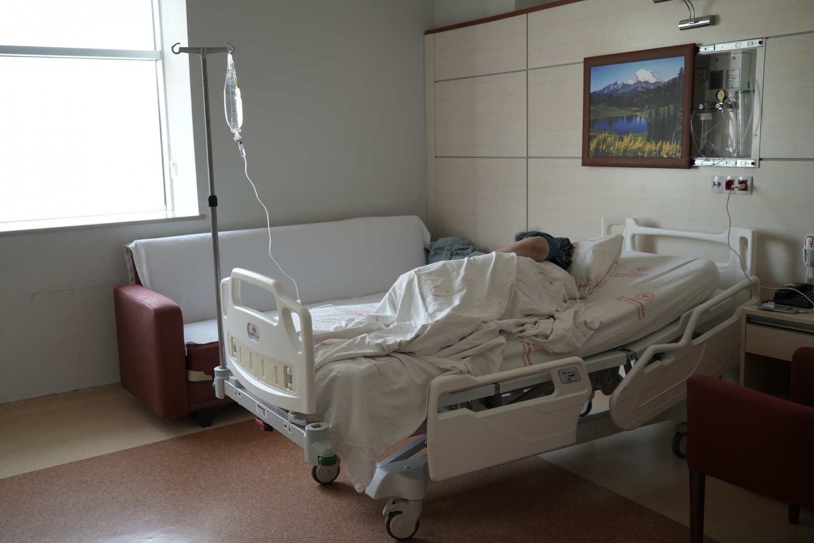 Gümüşhane'de havalar ısındı, kene vakaları arttı 1