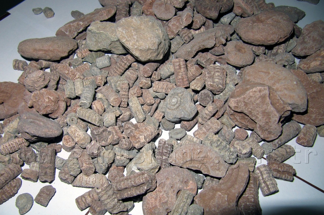 KOM'dan Film Gibi Operasyon 1