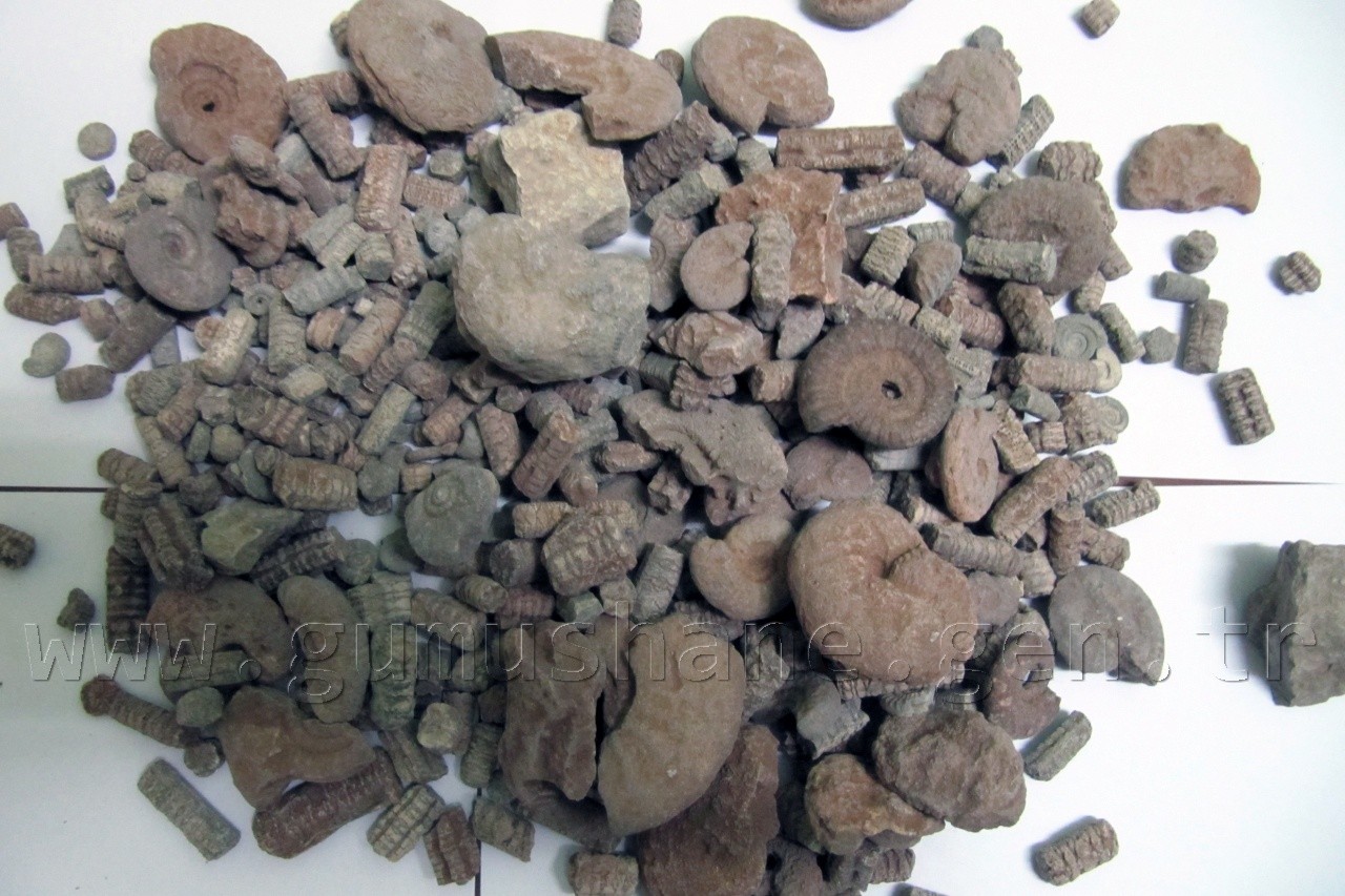 KOM'dan Film Gibi Operasyon 2