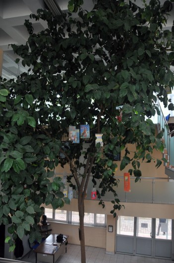 Kütüphanedeki Limon Ağacı 'Kitap' Açtı 2