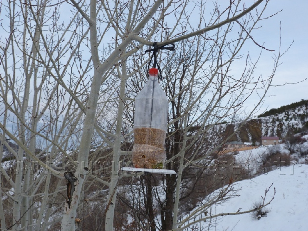 Minik Eller Kuşlar İçin 40 Yemlik Yaptı 1