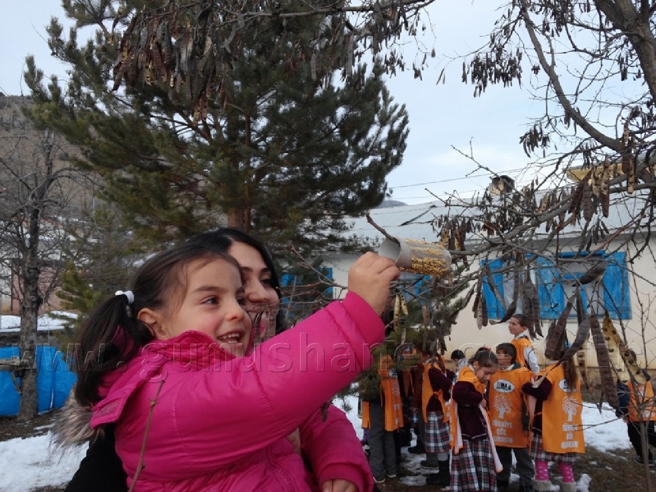 Minik Eller Kuşlar İçin 40 Yemlik Yaptı 10