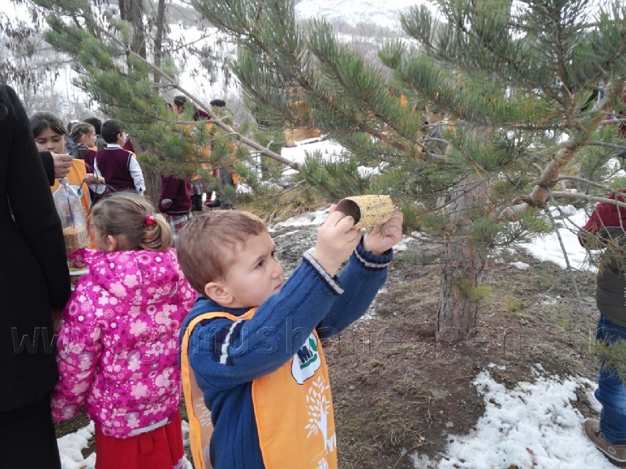 Minik Eller Kuşlar İçin 40 Yemlik Yaptı 9