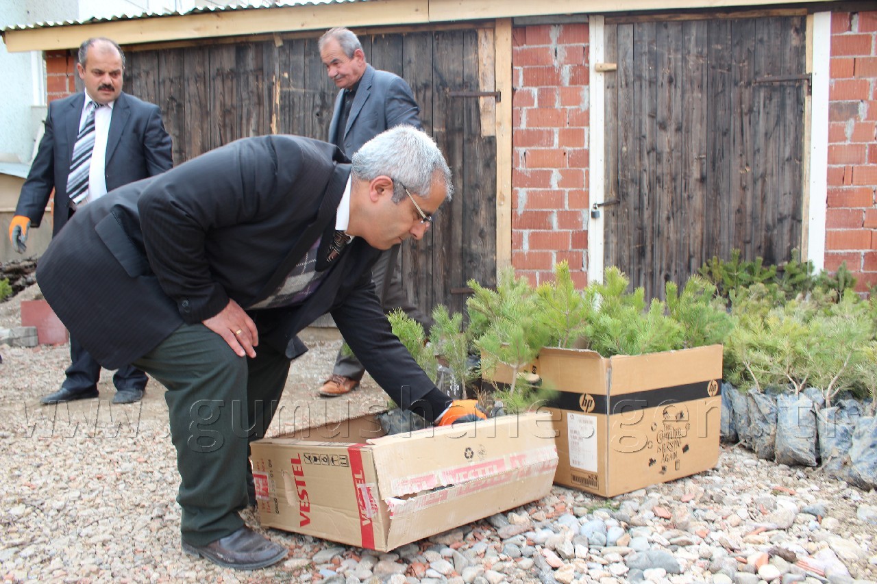 Şiran'da 5 Bin 500 Fidan Dağıtıldı 1