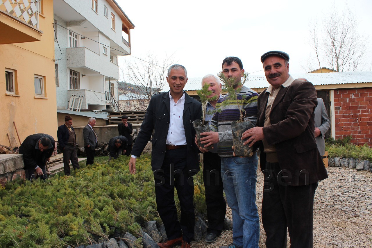 Şiran'da 5 Bin 500 Fidan Dağıtıldı 4