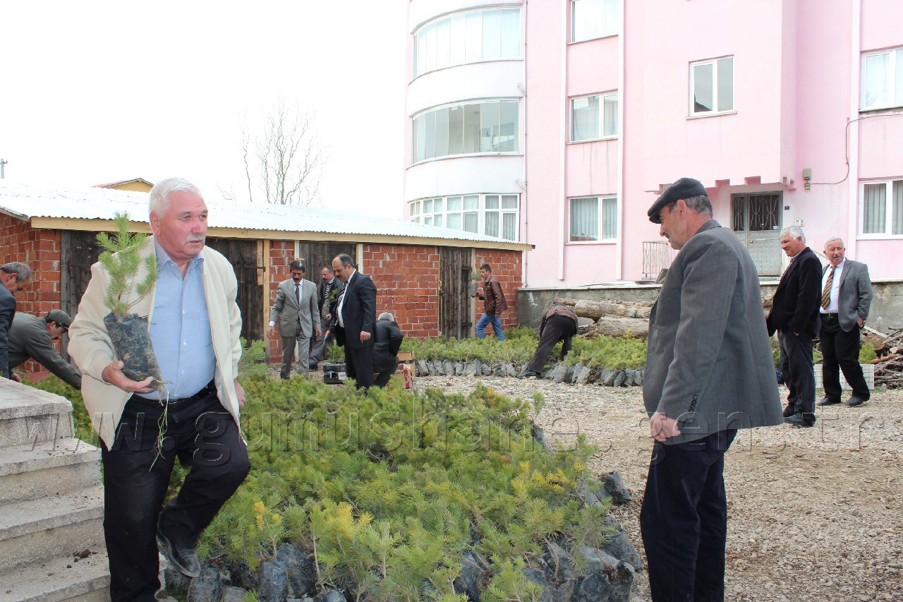 Şiran'da 5 Bin 500 Fidan Dağıtıldı 6