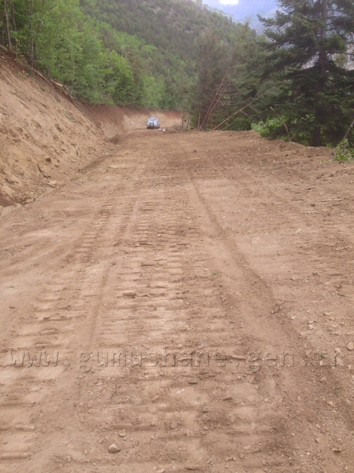 Orman İşletme 500 bin fidan dikti 6