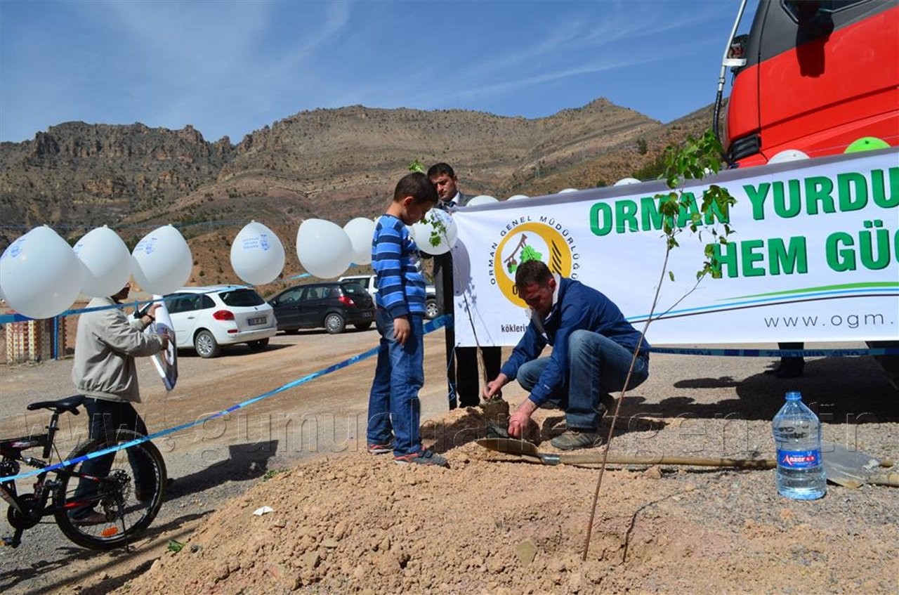 Emniyet 300 Fidanı Toprakla Buluşturdu 11
