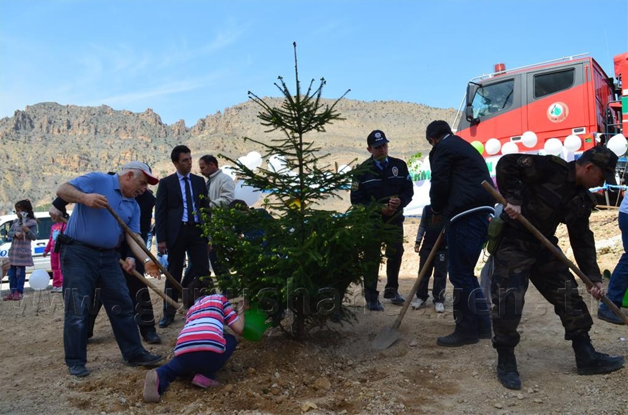 Emniyet 300 Fidanı Toprakla Buluşturdu 5