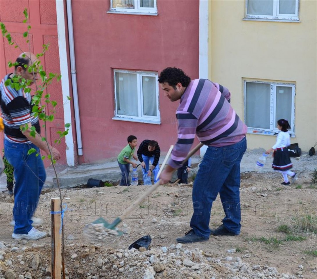 Emniyet 300 Fidanı Toprakla Buluşturdu 9