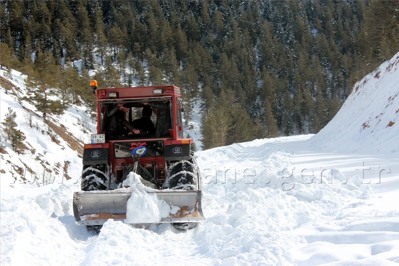 İkisu-Şiran Karayolunda İlginç Eylem 2