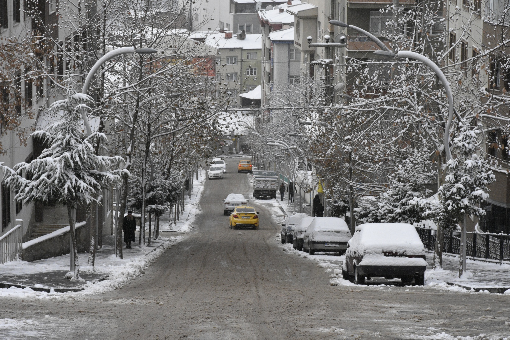 Gümüşhane'de kar yağışı 4