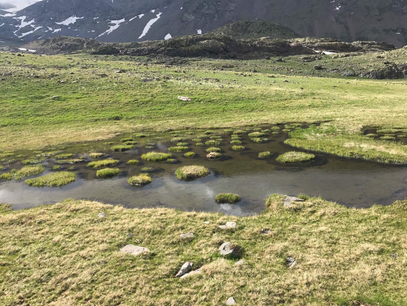 2 bin 500 metre rakımda düğün fotoğrafı çekilerek tarihe geçtiler 5