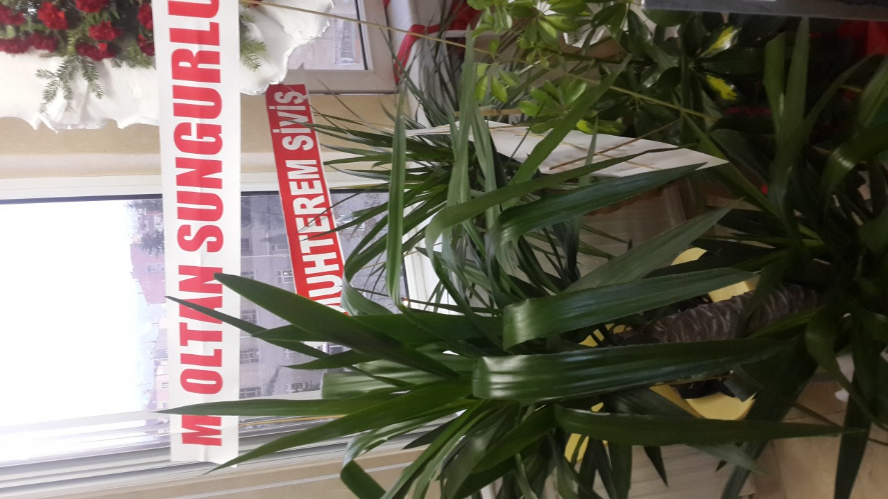 Eskişehir'de Gümüşhane Rüzgarı Esti 8