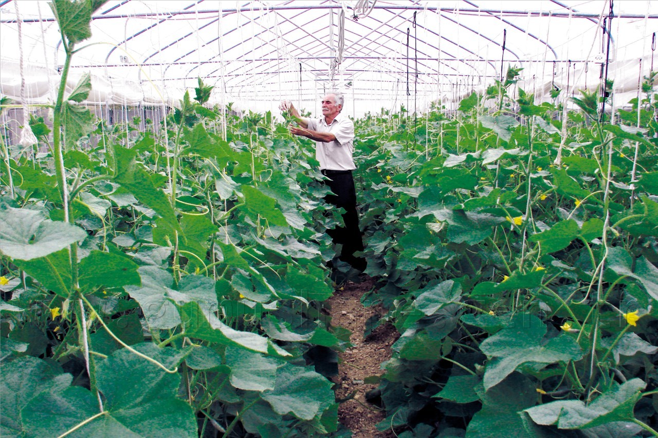 'Durmayacağız, çalışacağız' 1