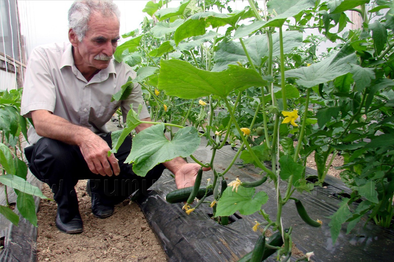 'Durmayacağız, çalışacağız' 2
