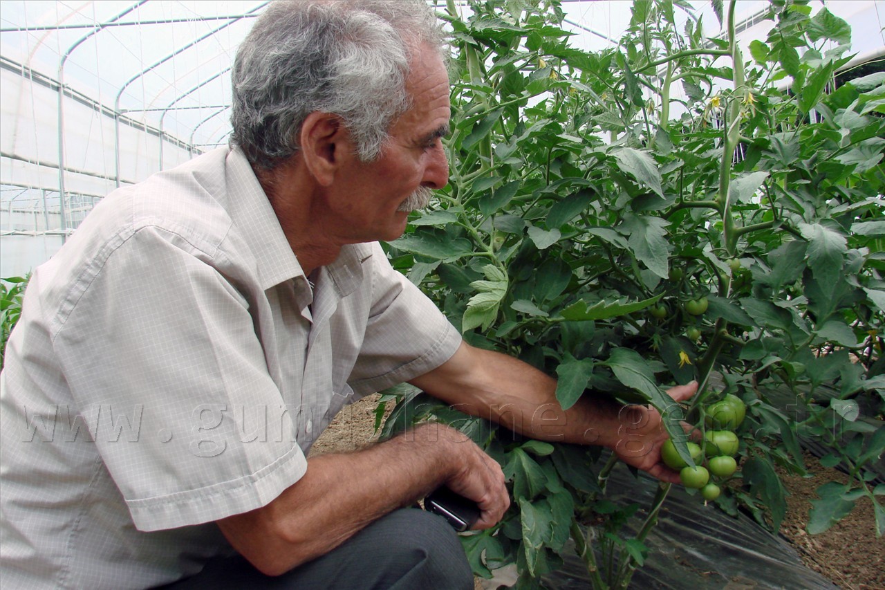 'Durmayacağız, çalışacağız' 5