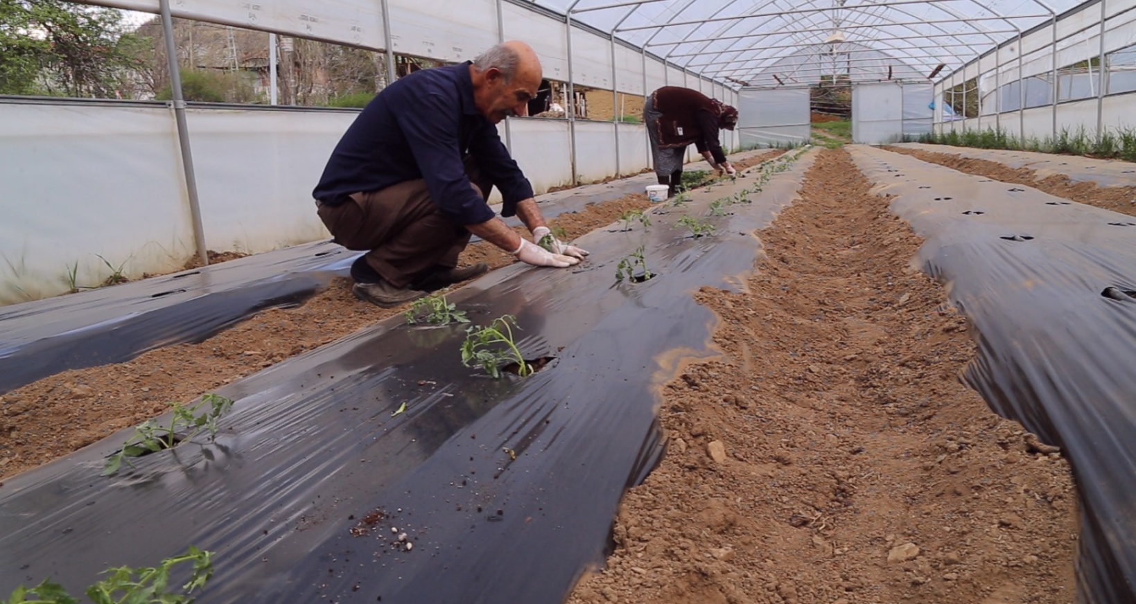 Gümüşhaneli çiftçilere destek sağlandı, üretim arttı 3