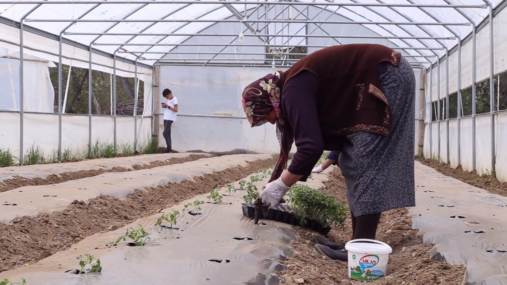Gümüşhaneli çiftçilere destek sağlandı, üretim arttı 4