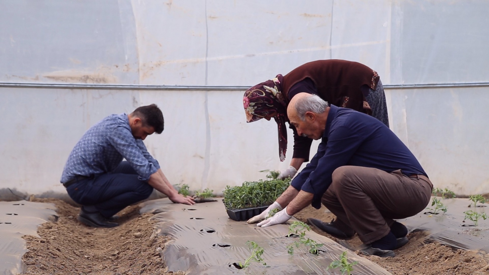 Gümüşhaneli çiftçilere destek sağlandı, üretim arttı 2