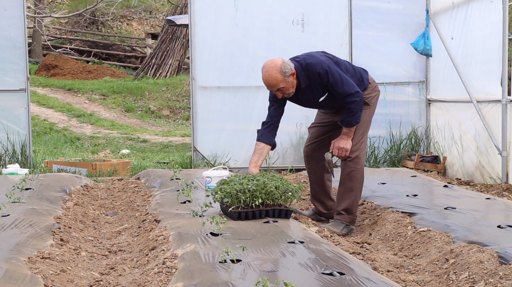 Gümüşhaneli çiftçilere destek sağlandı, üretim arttı 6