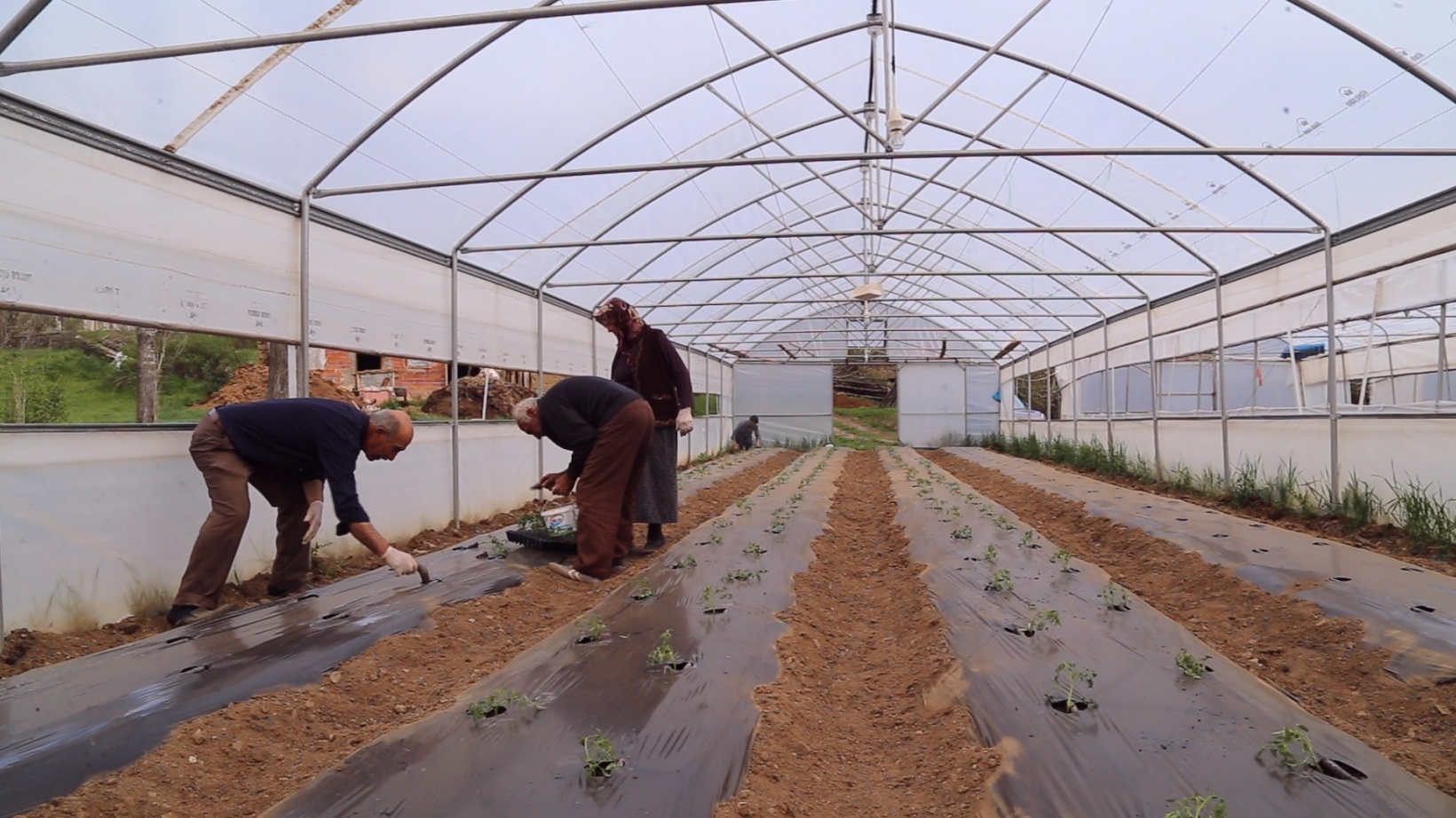 Gümüşhaneli çiftçilere destek sağlandı, üretim arttı 7