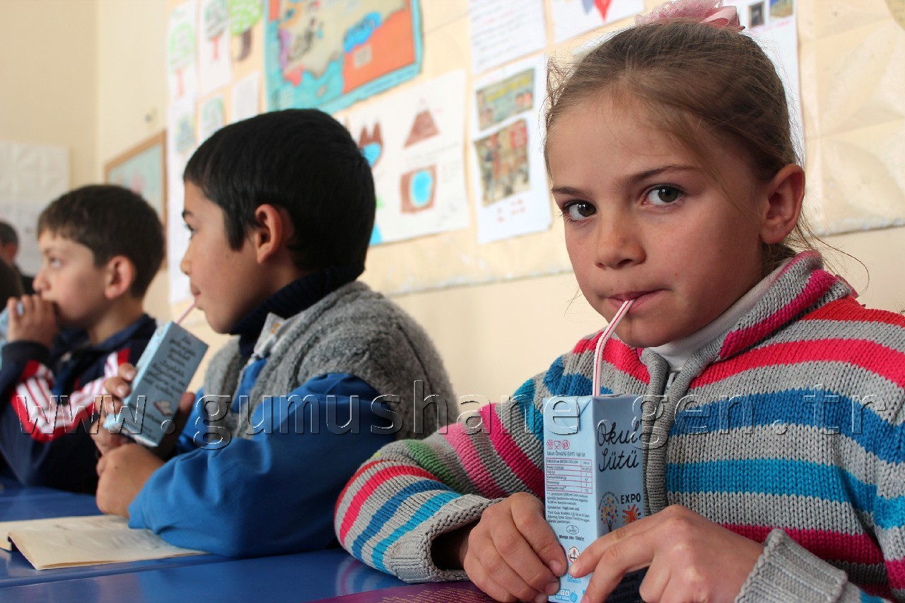 Şiran'da Okul Sütü Dağıtımına Devam Ediliyor 1