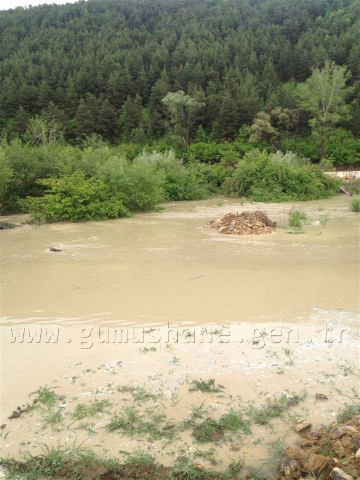 Şiran'da Şiddetli Yağmur  2