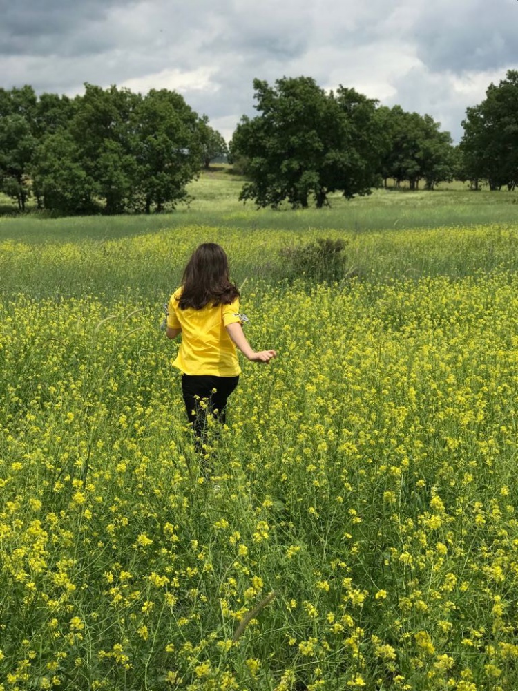 Şiran’da bahar güzelliği 7