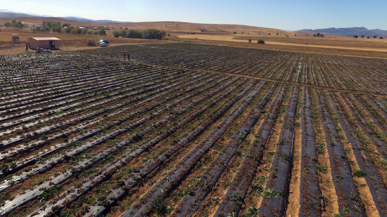Gümüşhane’de 2020 yılında 113 bin 800 dekar tarım arazisi sulandı 5